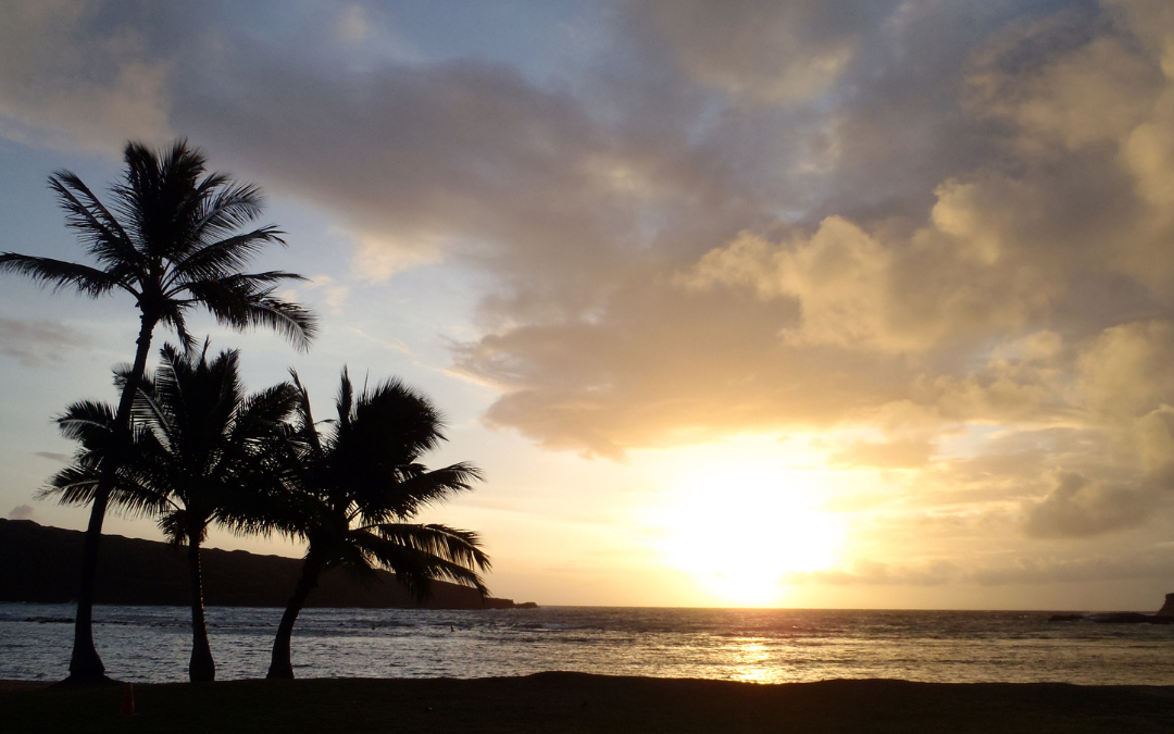 wheelchair accessible things to do in Honolulu, Hawaii