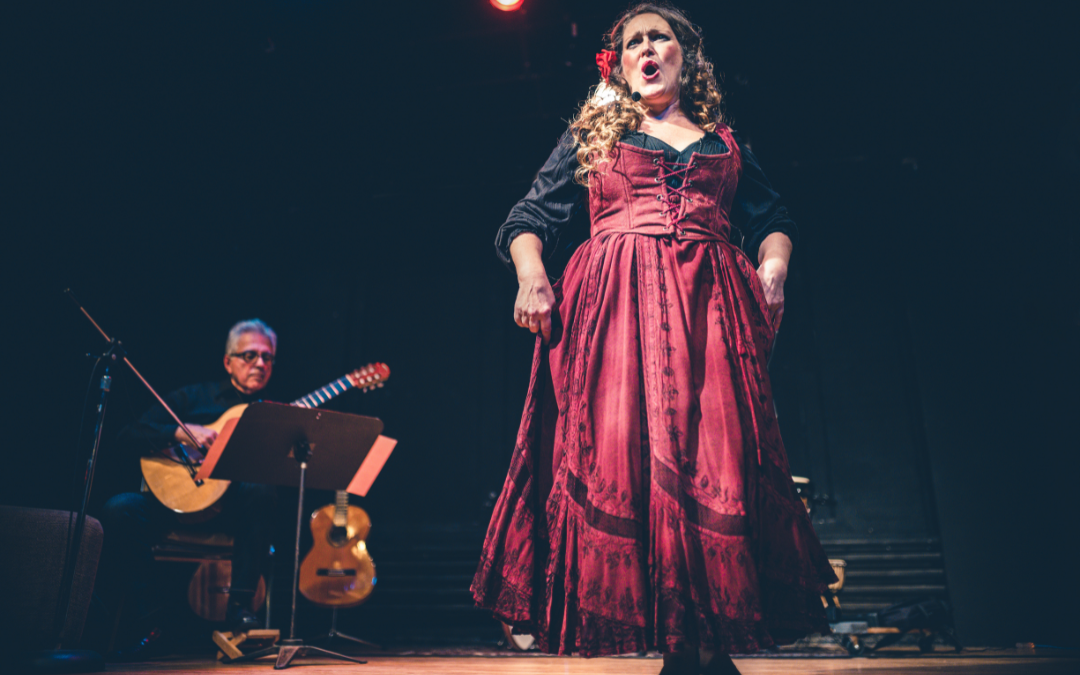Wheelchair accessible things to do in Newark - A singer performs on stage at the New Jersey Performing Arts Center