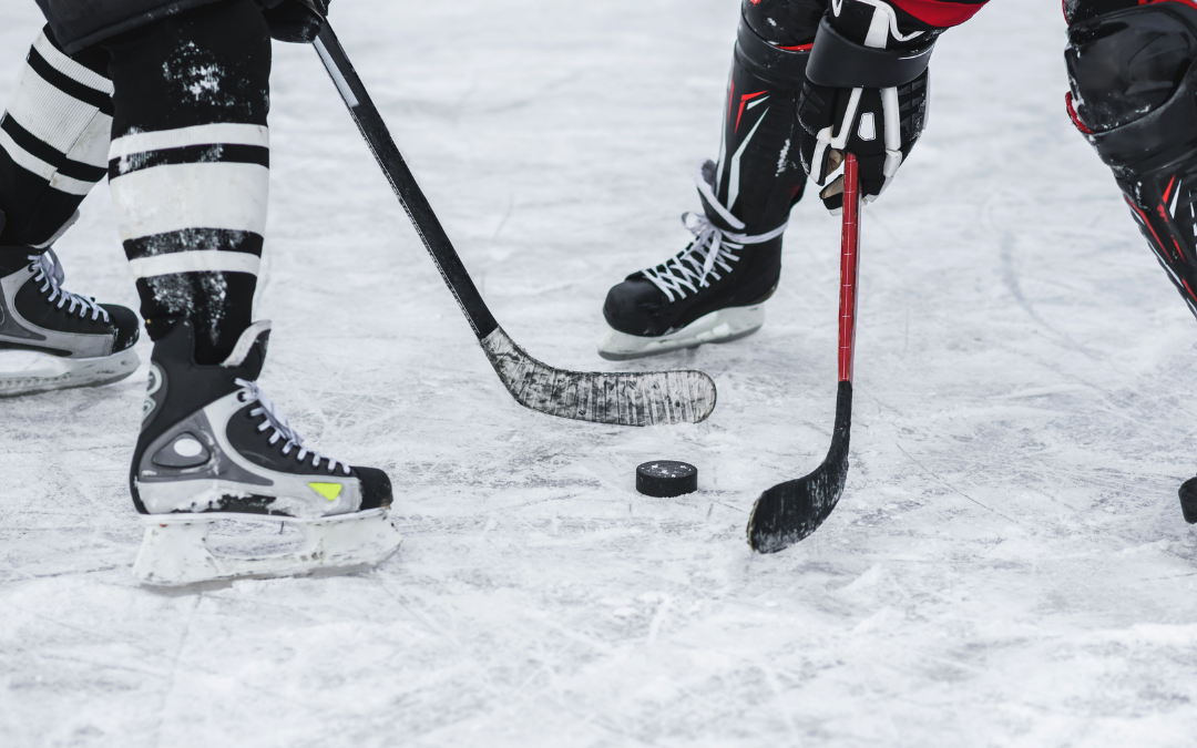 wheelchair accessible things to do in Newark, NJ - Hocky Game at the Prudential Center