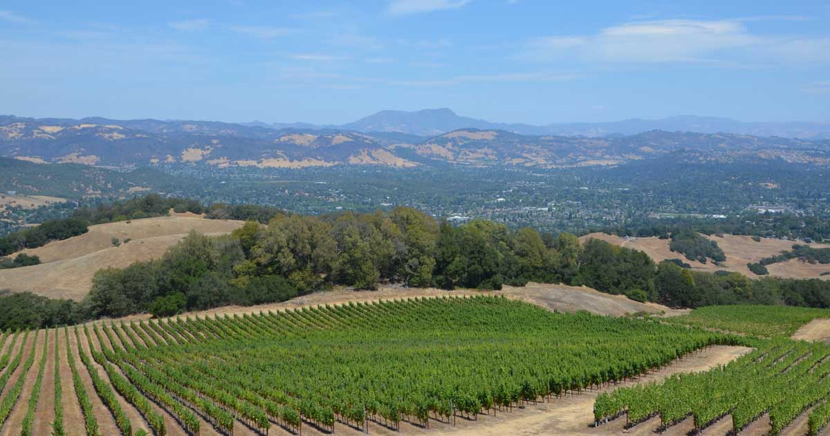 8 Fun Santa Rosa WheelchairFriendly Activities Wheelers Accessible