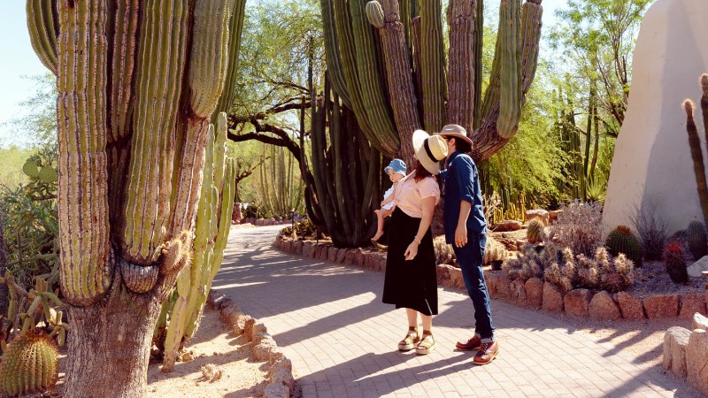 couple with a young child exploring the desert botanical garden near Scottsdale