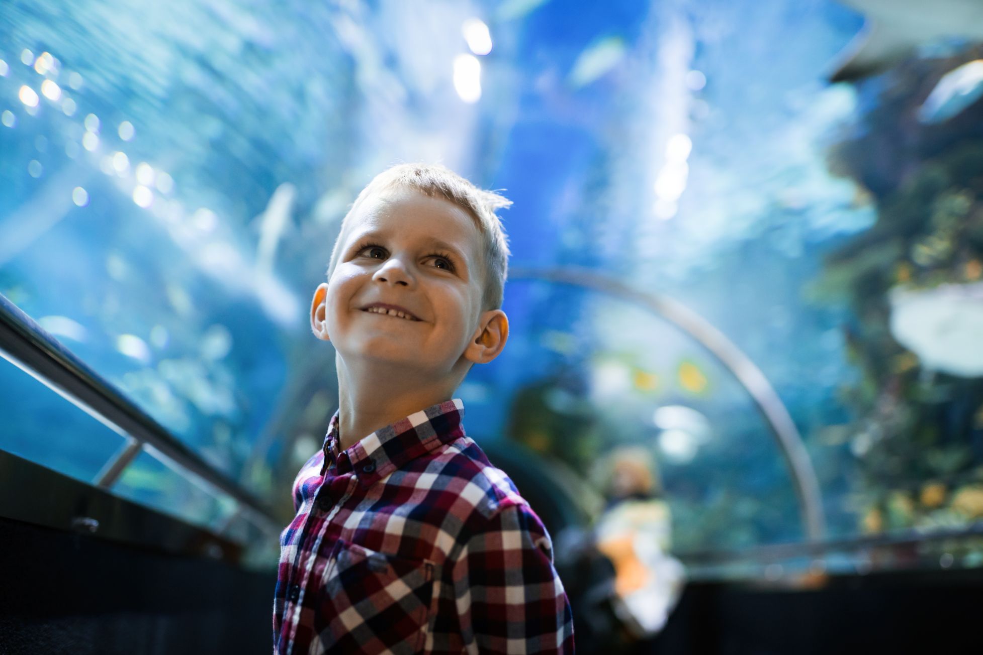Boy in aquarium