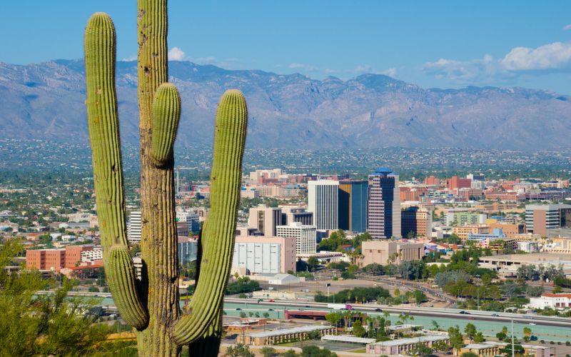 Saguaro Cactus in Foreground with Tucson Cityscape in Background