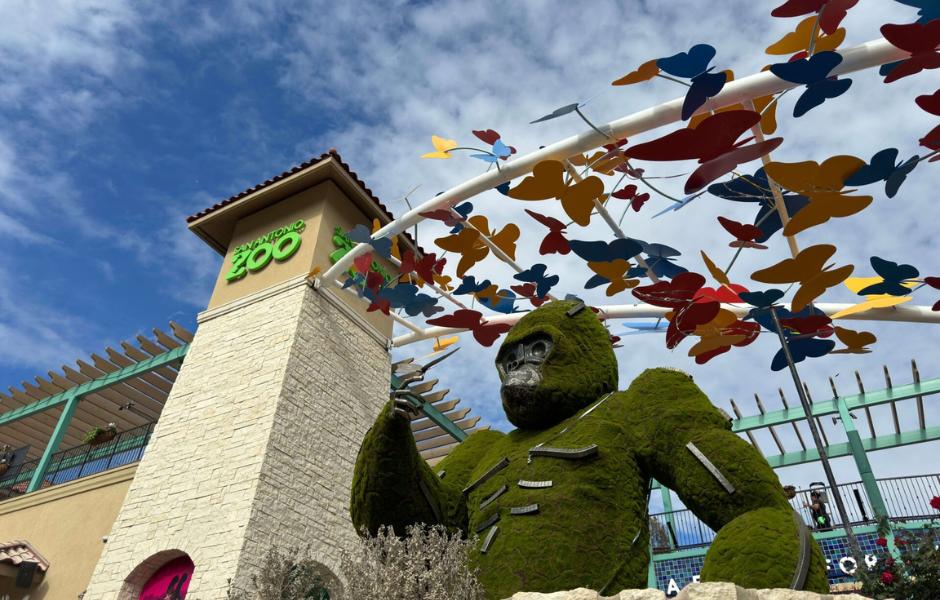 Front entrance to San Antonio Zoo